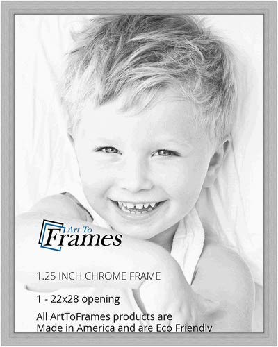 ArtToFrames 22x28 inch Chrome Stainless Steel Picture Frame, WOMFRBW26966-22x28