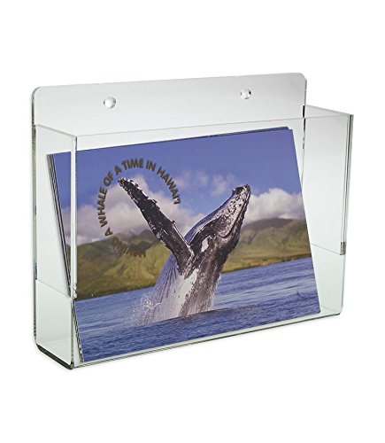 Source One Llc Premium Wall Mount Postcard Holder Display Rack (1-Pack Clear)