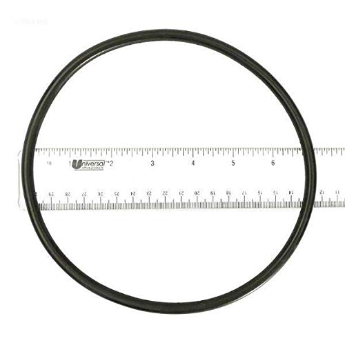 Waterway Plastics 805-0439 Lid O-Ring Svl56 Pump