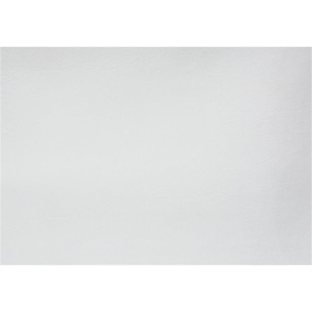 Monarch Metal Accent Table with a Magazine Rack, White