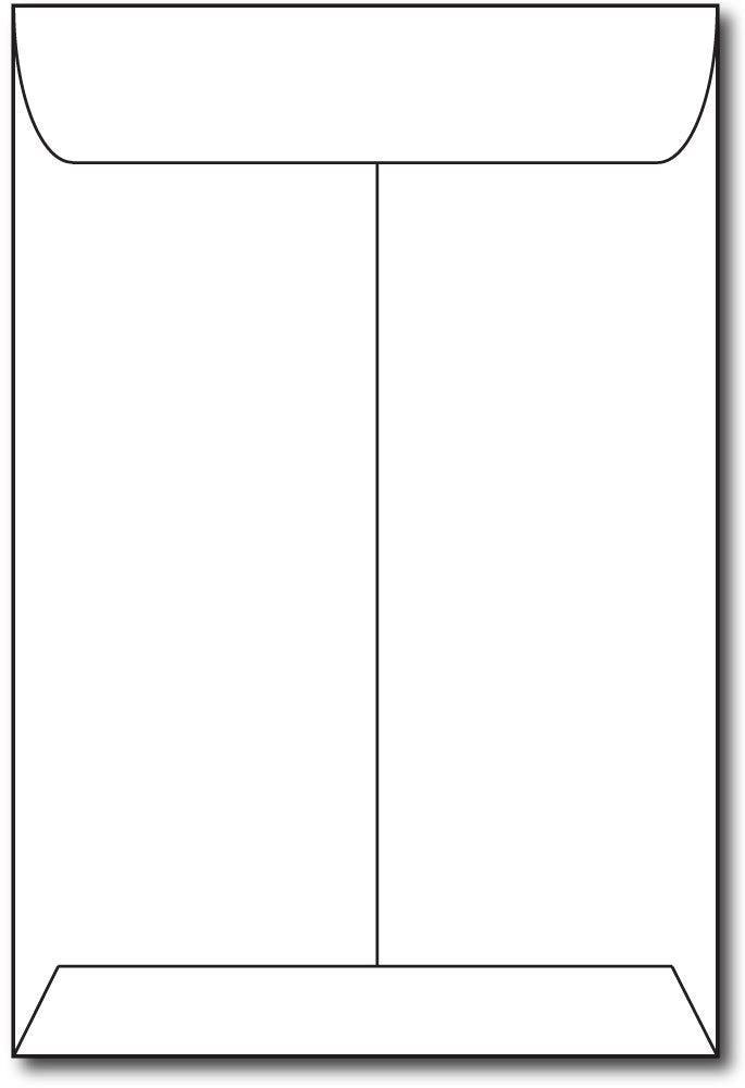 Heavyweight White 6X9 Catalog Envelopes - 100 Envelopes - Gummed Open End Flap - 6' X 9' Made From Thick 28Lb Bond Stock