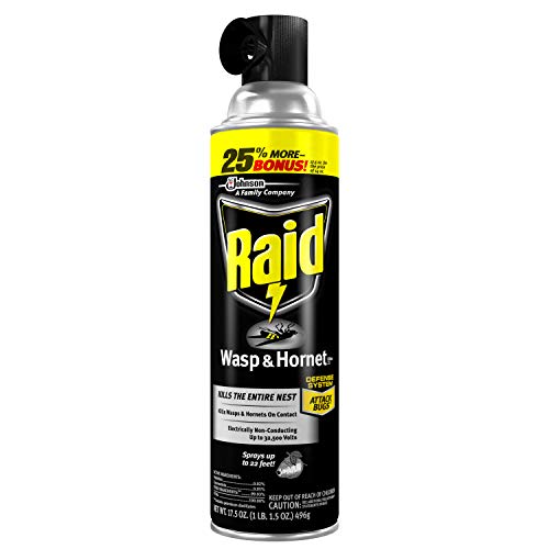 Raid Wasp And Hornet Killer (175 Ounce (Pack Of 1))