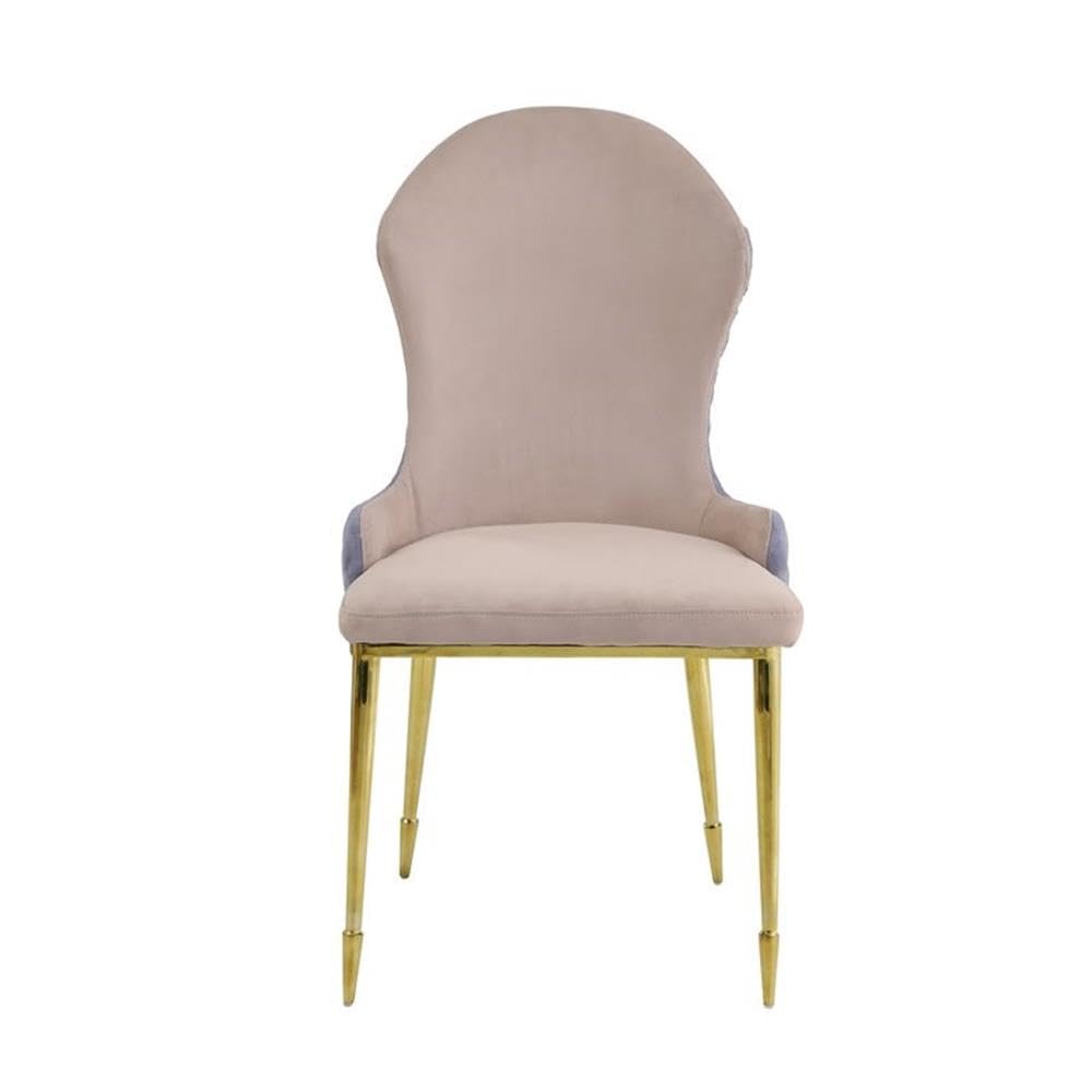 Acme Caolan Side Chair Set of 2 in Tan and Lavender Fabric and Gold
