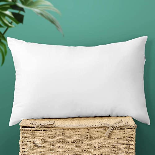 Otostar Throw Pillow Insert Premium Pillow Stuffer Sham Rectangle Cushion Stuffer For Decorative Cushion Bed Couch Sofa Decor Pillows Inserts 16X24 Inch (Pack Of 1)