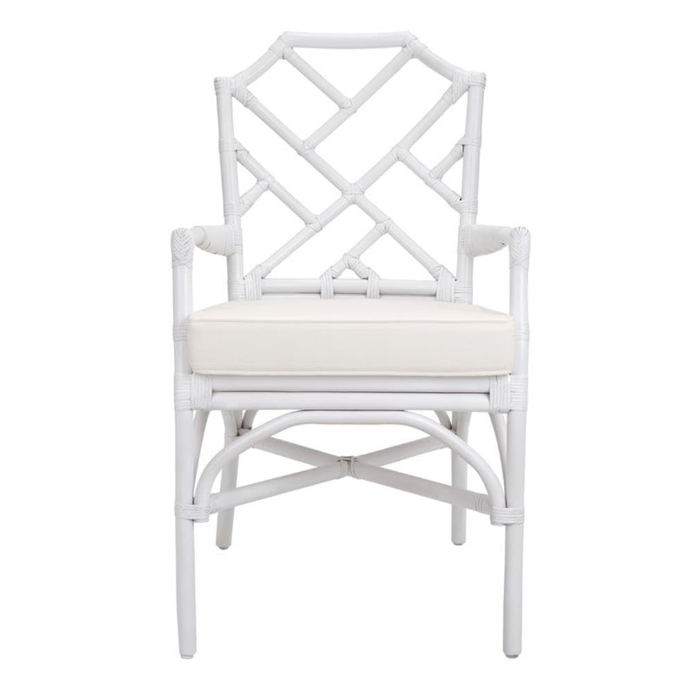 Npd Furniture And More Kara Rattan Arm Chair