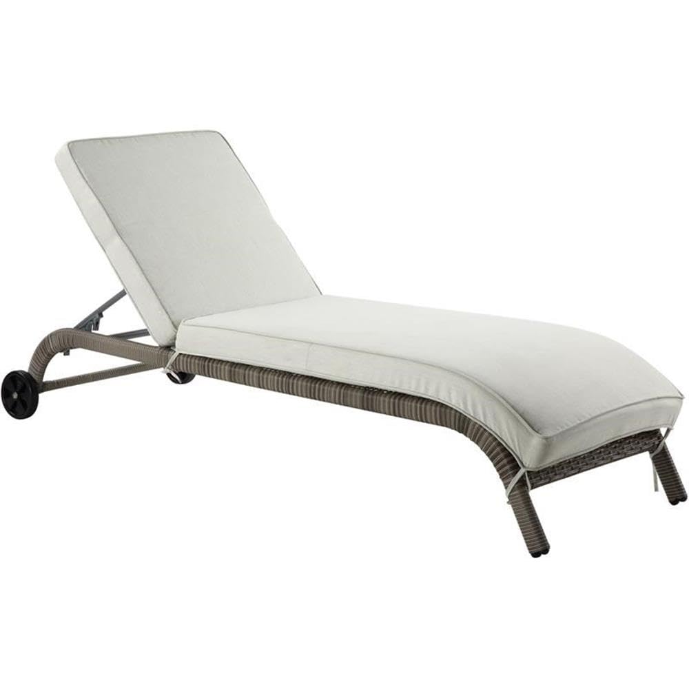 Acme Salena Patio Sun Lounge in Beige Fabric & Gray Finish