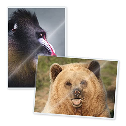 Trulam 3 Mil Laminating Pouches With Rounded Corners | Portrait Small Size | 5-1/4 In. X 7-1/4 In. | Glossy Finish | Premium Adh