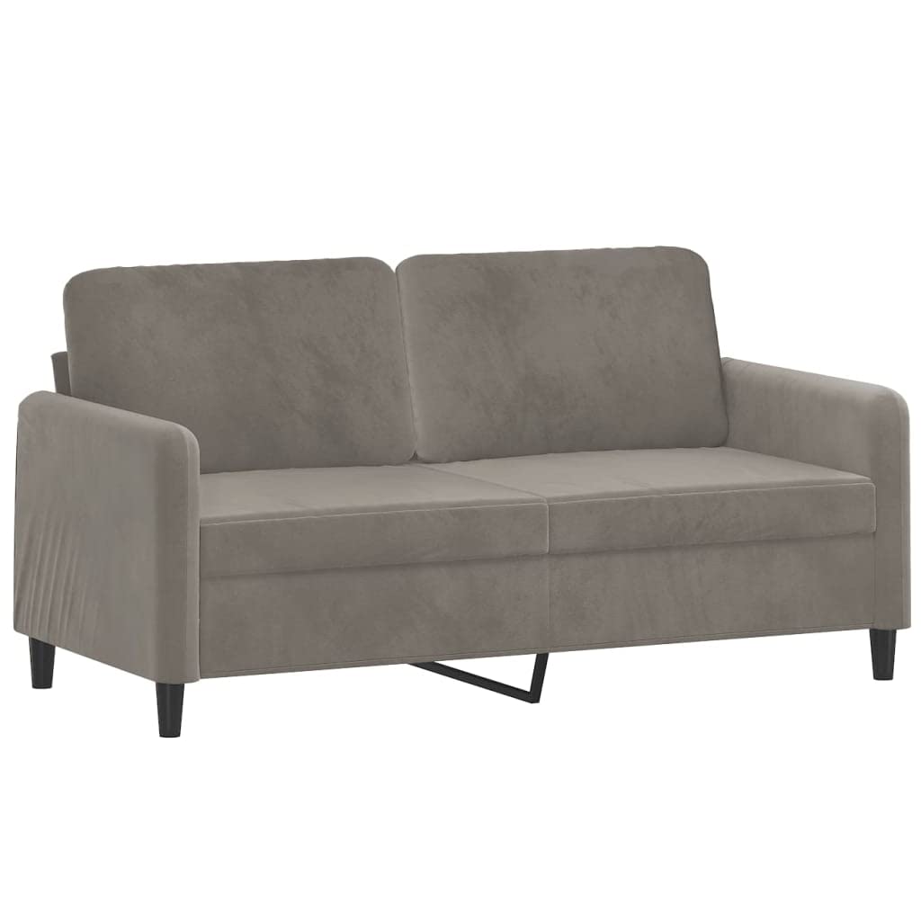 vidaXL Modern 2-Seater Light Gray Velvet Sofa with Pillows and Cushions, Sturdy Plywood and Metal Structure, Easy Assembly, Perfect for Home Decor