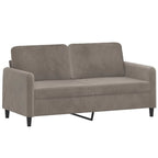 vidaXL Modern 2-Seater Light Gray Velvet Sofa with Pillows and Cushions, Sturdy Plywood and Metal Structure, Easy Assembly, Perfect for Home Decor