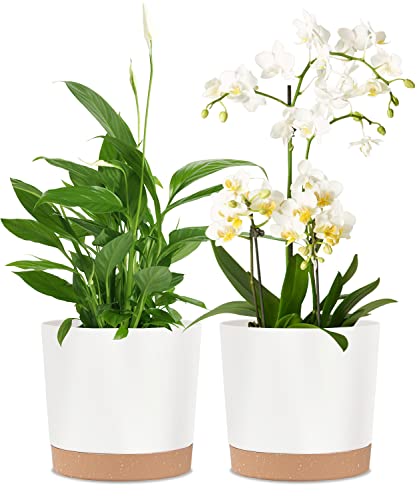 Kubvici Planters For Indoor Plants, 8 Inch Plant Pots 2 Pack Flower Pots With Drainage And Saucer For Indoor Outdoor Plants, Pla