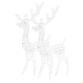 vidaXL 2pcs 47.2" Acrylic Reindeer Decorations with Energy-Saving LED Lights and Various Lighting Modes - Cold White - Suitable for Indoor and Outdoor Christmas Decor