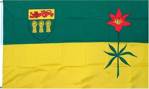 3X5 Saskatchewan Canada Flag Canadian Province Banner Pennant Indoor Outdoor New