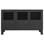 vidaXL Metal Sideboard with Glass Door – Anthracite Industrial-Looking Storage Cabinet for Books, DVDs, and Ornaments