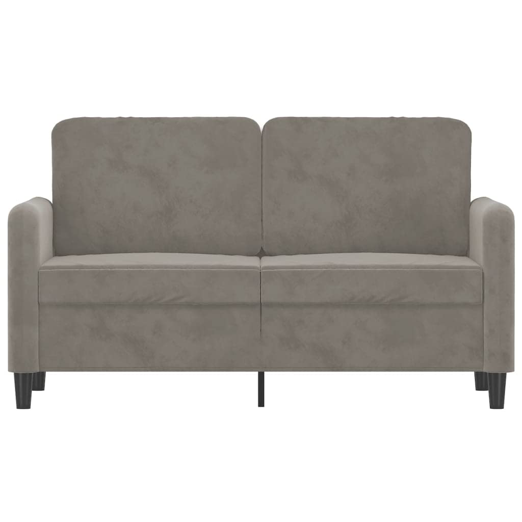 vidaXL Light Gray Sofa - 2-Seater - Comfortable Velvet Fabric Upholstery - Robust Plywood and Metal Frame - Modern and Chic - Ideal for Homes and Apartments