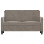 vidaXL Light Gray Sofa - 2-Seater - Comfortable Velvet Fabric Upholstery - Robust Plywood and Metal Frame - Modern and Chic - Ideal for Homes and Apartments