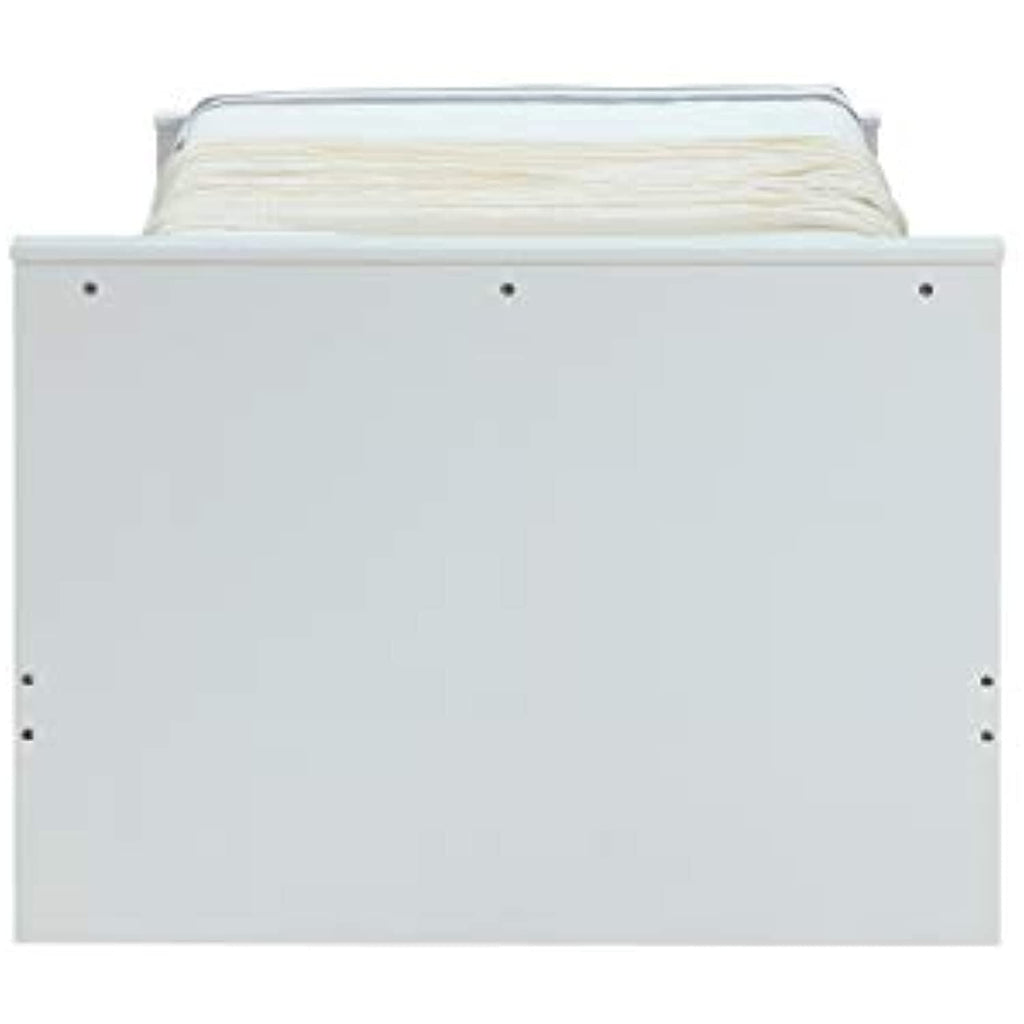Acme Ragna Wooden Twin Panel Bed In White
