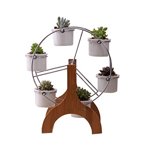 Cuteforyou Cute 12 Inch Ferris Wheel Shaped Flower Pot Stands Holder,With 6 Round Ceramic Succulent Pots,Plants Not Included (Br