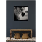 Horse Like Velvet by Laura Evans Framed Wall Art Print