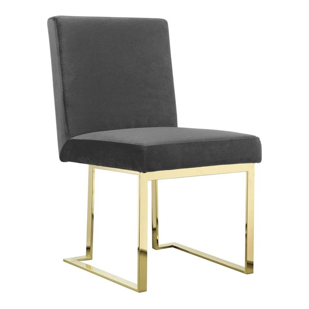 Pangea Home Dexter 18.5" Velvet & Steel Side Chair In Gray & Gold (Set Of 2)