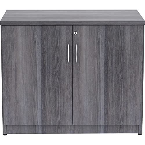 Lorell Essentials 2-Door Storage Cabinet