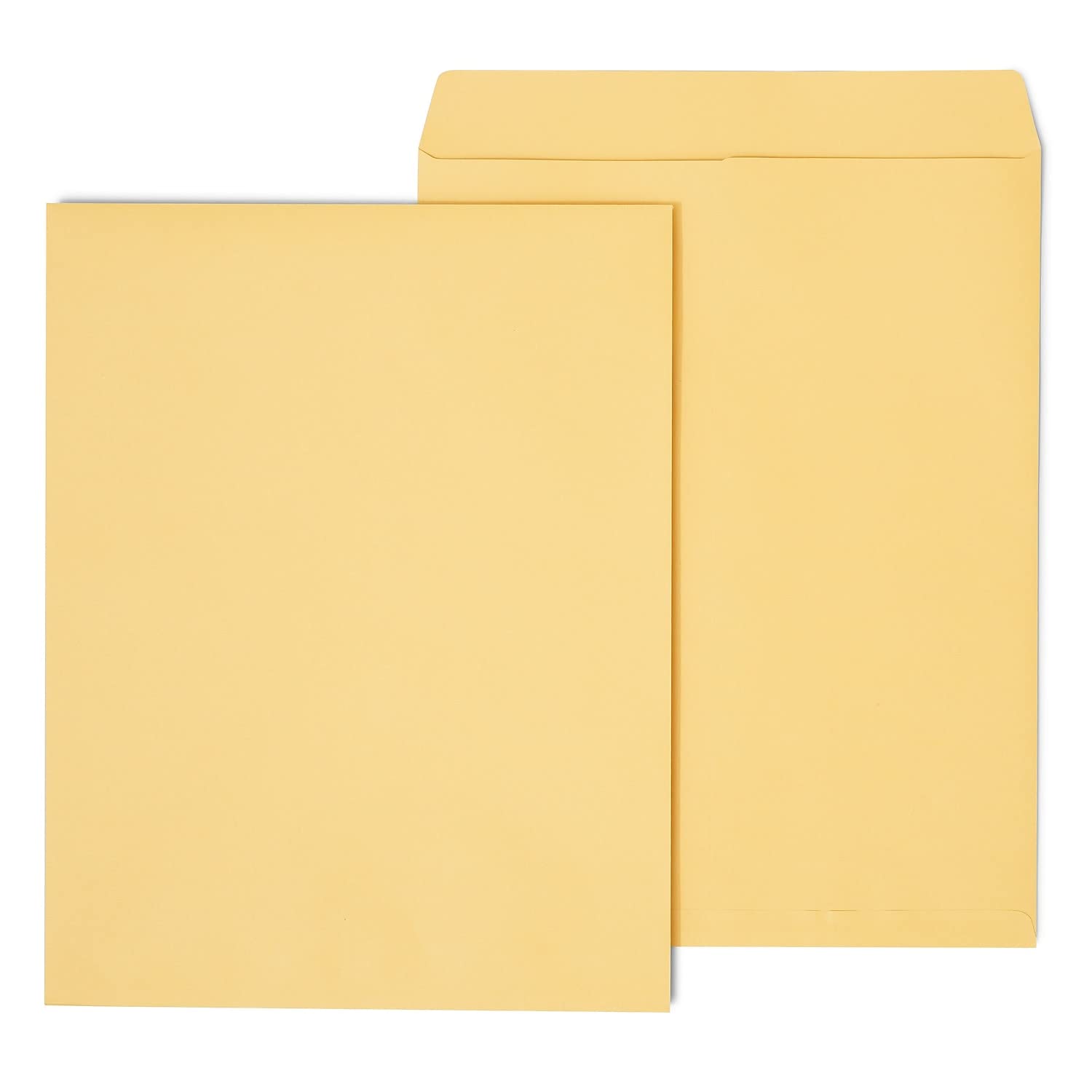 Staples 195776 14-Inch X 18-Inch Brown Kraft Ungummed Jumbo Catalog Envelopes 25/Box