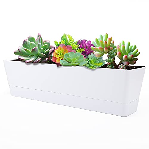 Greaner Large Window Boxes Planters, 1Pcs 16X3.8 Inch White Vegetable Herb Planters With Tray, Indoor Succulent Cactus Flowers P