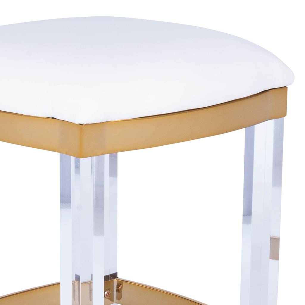 HomeRoots White Stainless Steel; Acrylic Acrylic and Polished Gold Counter Stool
