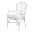 Npd Furniture And More Kara Rattan Arm Chair