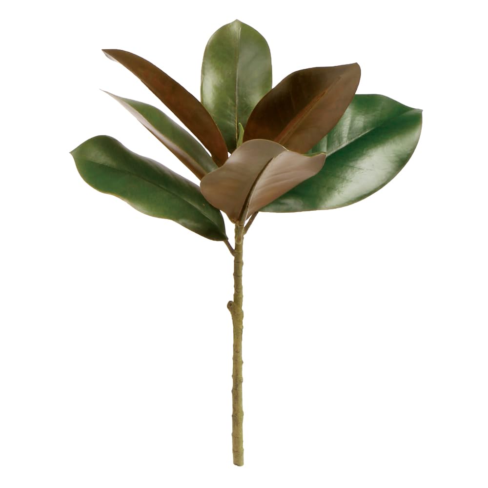 NAPA Home & Garden Magnolia Pick 16