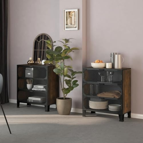 vidaXL Storage Cabinets 2 Pcs, File Cabinet with Doors, Display Cabinet for Living Room Office, Storage Organizer, Rustic Brown Metal and MDF