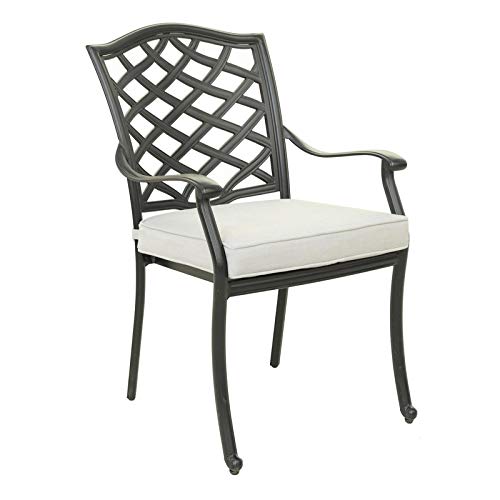 iPatio Florence Aluminum Dining Arm Chair with Cushion, Set of 2
