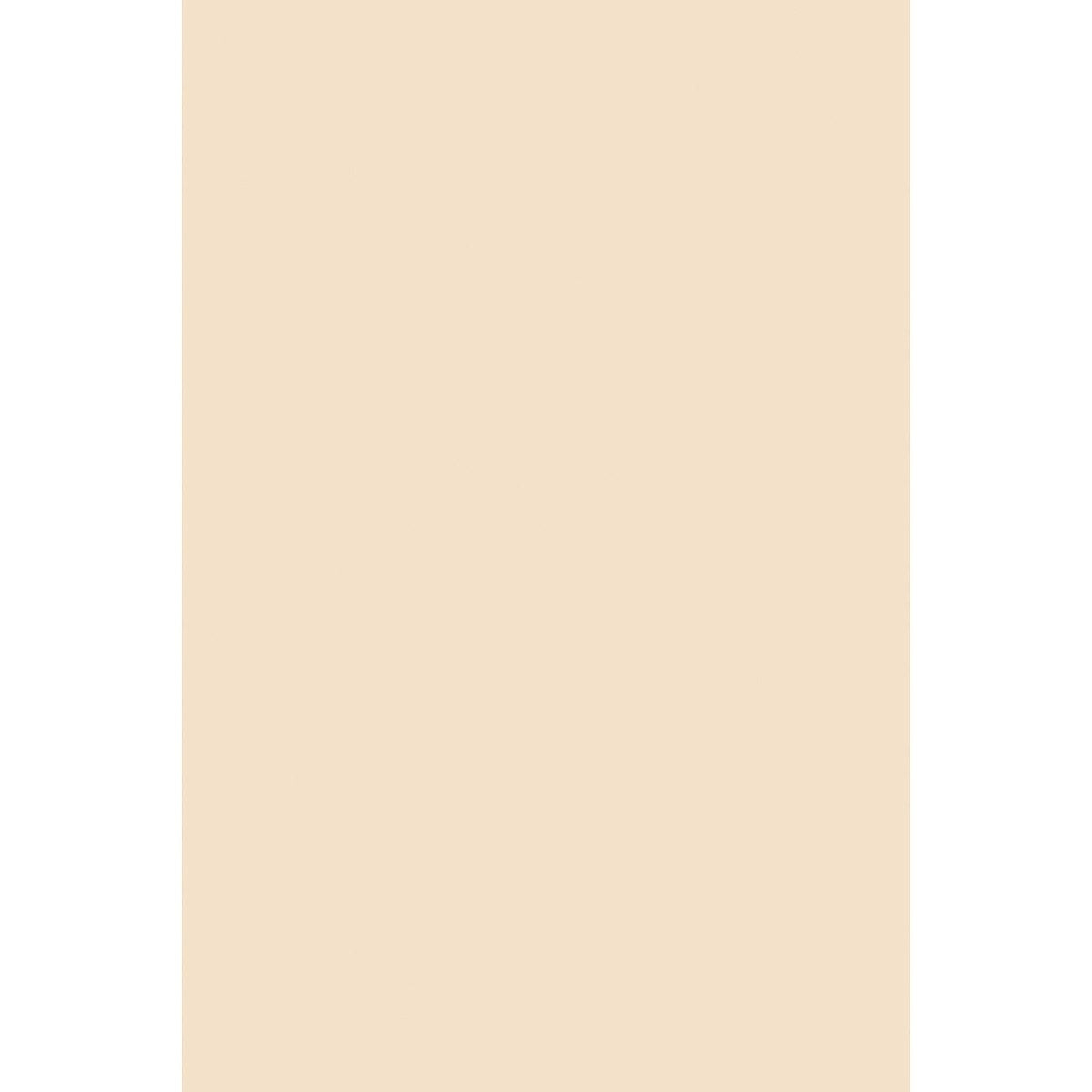 Pacon Tagboard Board,Tag,12X18,100Pk,Mla C4906An#140 (Pack Of10)
