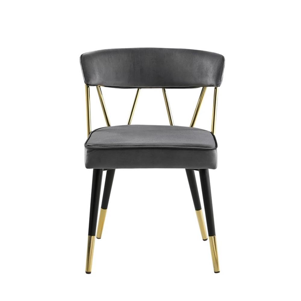 Best Master Furniture Meyer Velvet Side Chair with Gold Accents (Set of 2) Grey/Gold