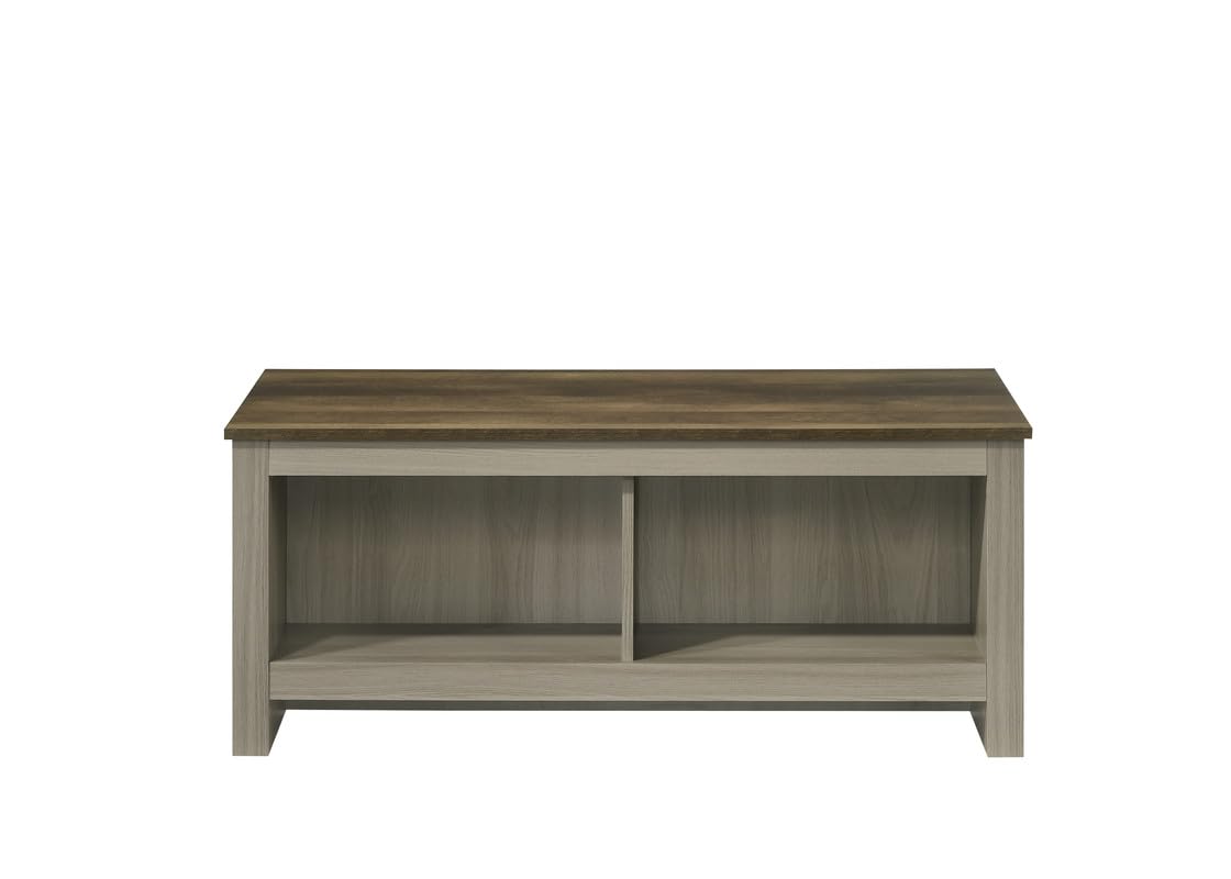 LILOLA LIVING Nyla 43&quot; W Gray Oak Coffee Table with Open Shelves Front and Back