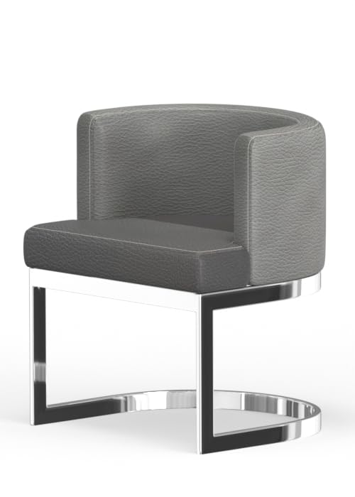Neos Modern Furniture C1422GY-CH Chair, Gray