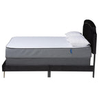 Baxton Studio Oxley Black Velvet and Gold Metal Queen Size Panel Bed