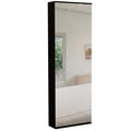 HomeRoots Stylish Black Wengue Wall Mounted Shoe Rack with Mirror