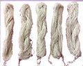 Trend Fashion Janoi,Sacred Tread (Janeu) - Enhances Purity And Gives Long Life And Divine Bliss (Pack Of -5)