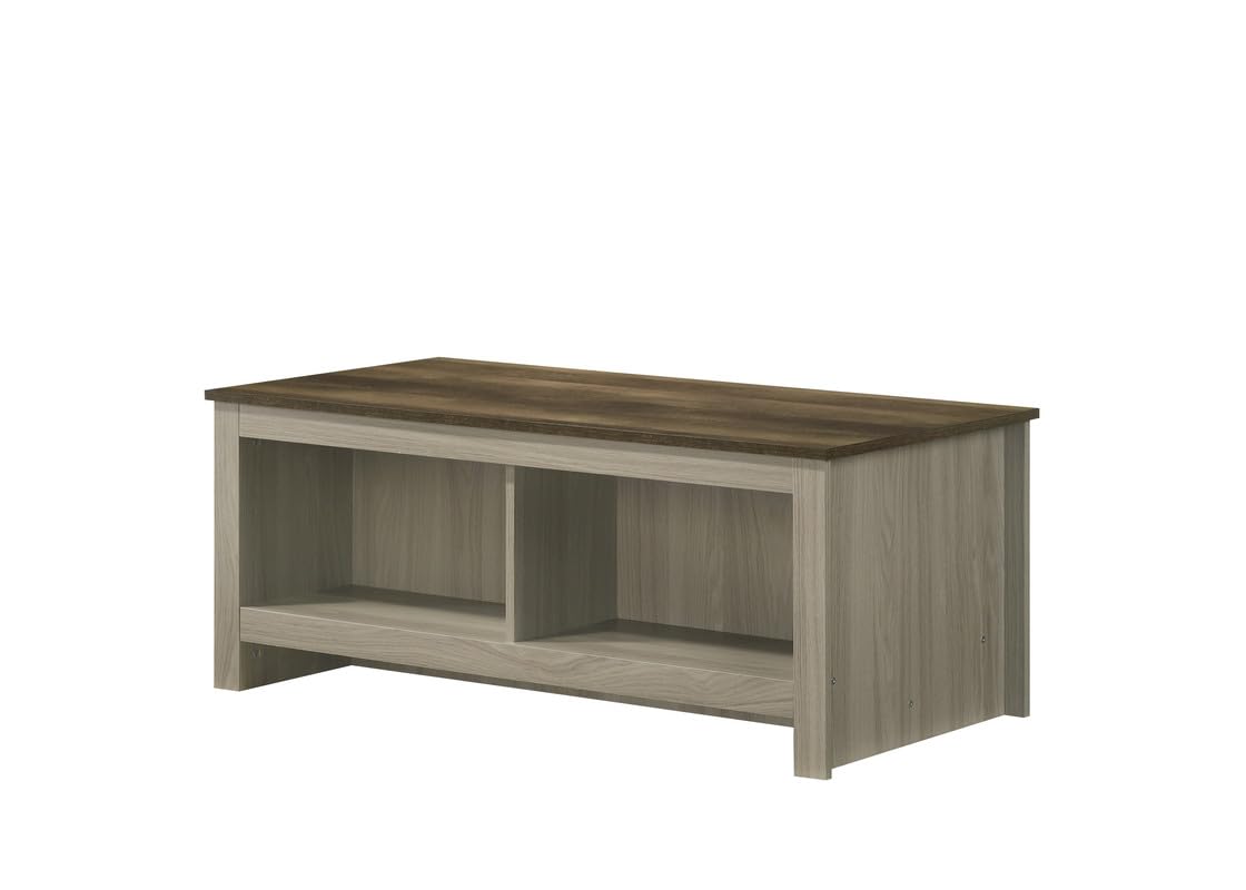 LILOLA LIVING Nyla 43&quot; W Gray Oak Coffee Table with Open Shelves Front and Back