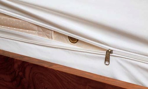Dust Mite And Allergen Proof Mattress Encasing (Cover); Premium Microfiber    (Twin; 9' Deep)
