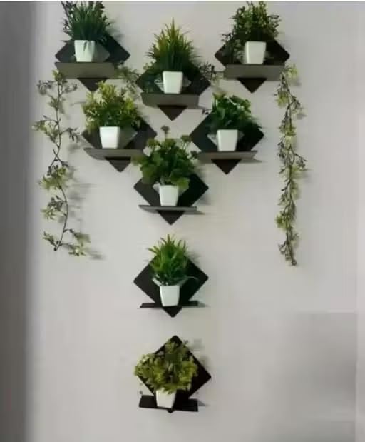 Echowood Diamond Shape Wooden Wall Shelf for Plants, Black, Set of 8, Home Decor