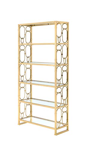 HomeRoots Glass, Metal 36' X 19' X 77' Clear Glass and Gold Bookcase