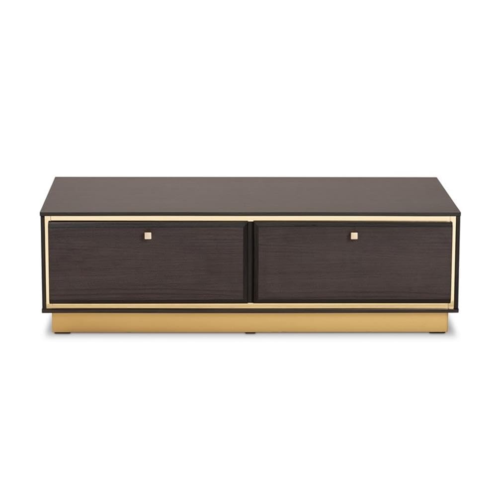 Baxton Studio Cormac Mid-Century Modern Transitional Dark Brown Finished Wood and Gold Metal 2-Drawer Coffee Table