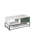Lilola Home Watson White and Green Wood Coffee Table Steel Frame with Shelves and Drawer