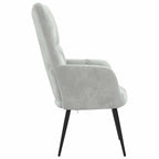 vidaXL Chic and Elegant Relaxing Chair - Soft Velvet Upholstery in Light Gray - Steel Framed Armchair for Living Room, Bedroom, Lounge Area