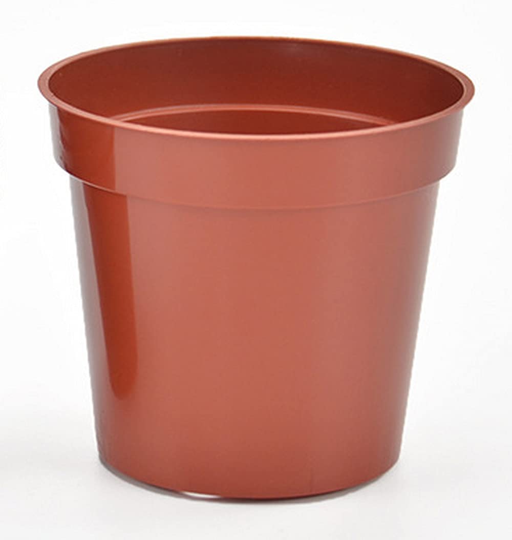 Nore 3.3 Inches Small Round Fresh Plastic Nursery Succulent Seedling Flower Grow Pots 50Pcs/Pack (Middle, 84Mm/3.3In)