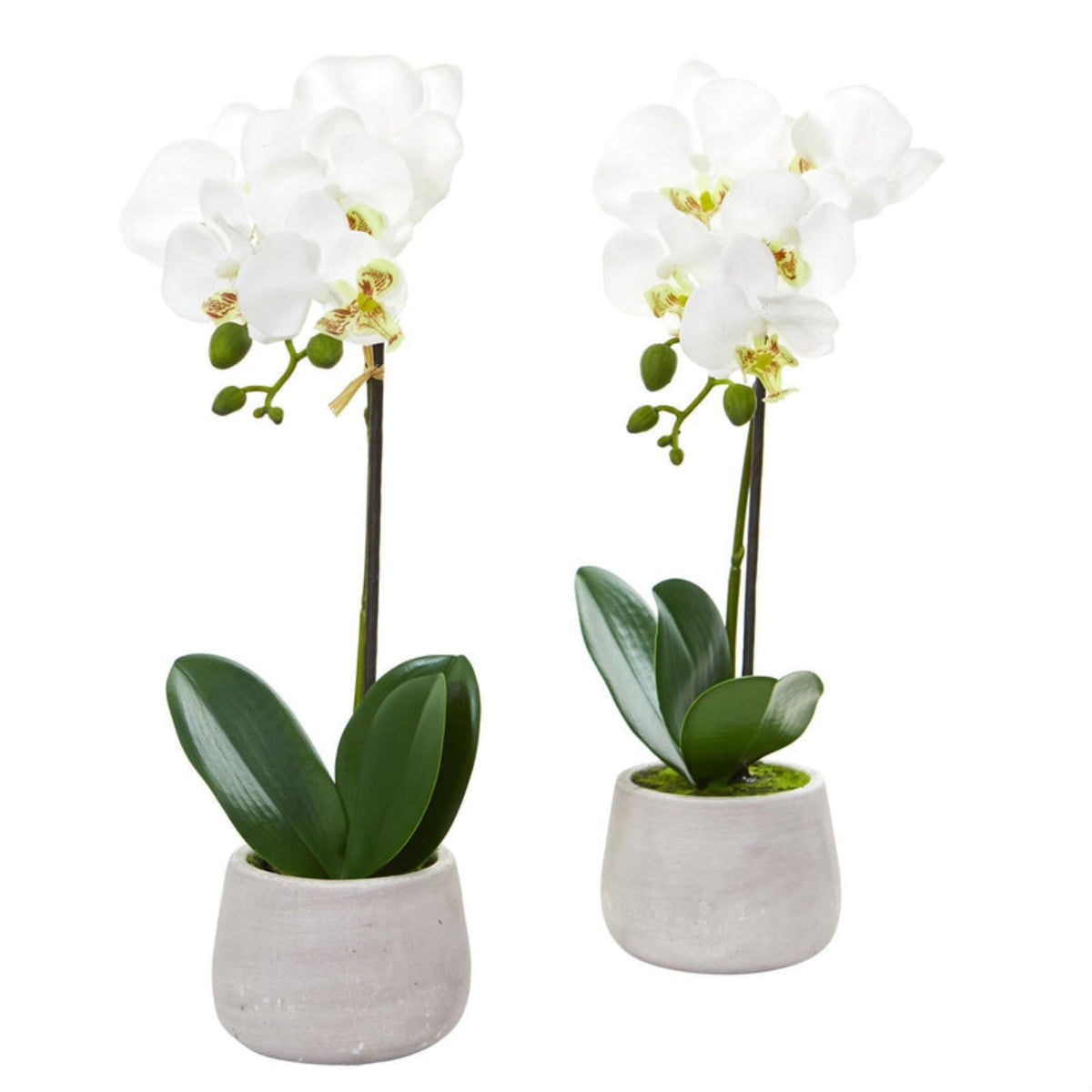 Phalaenopsis Orchid Artificial Arrangement (Set Of 2)