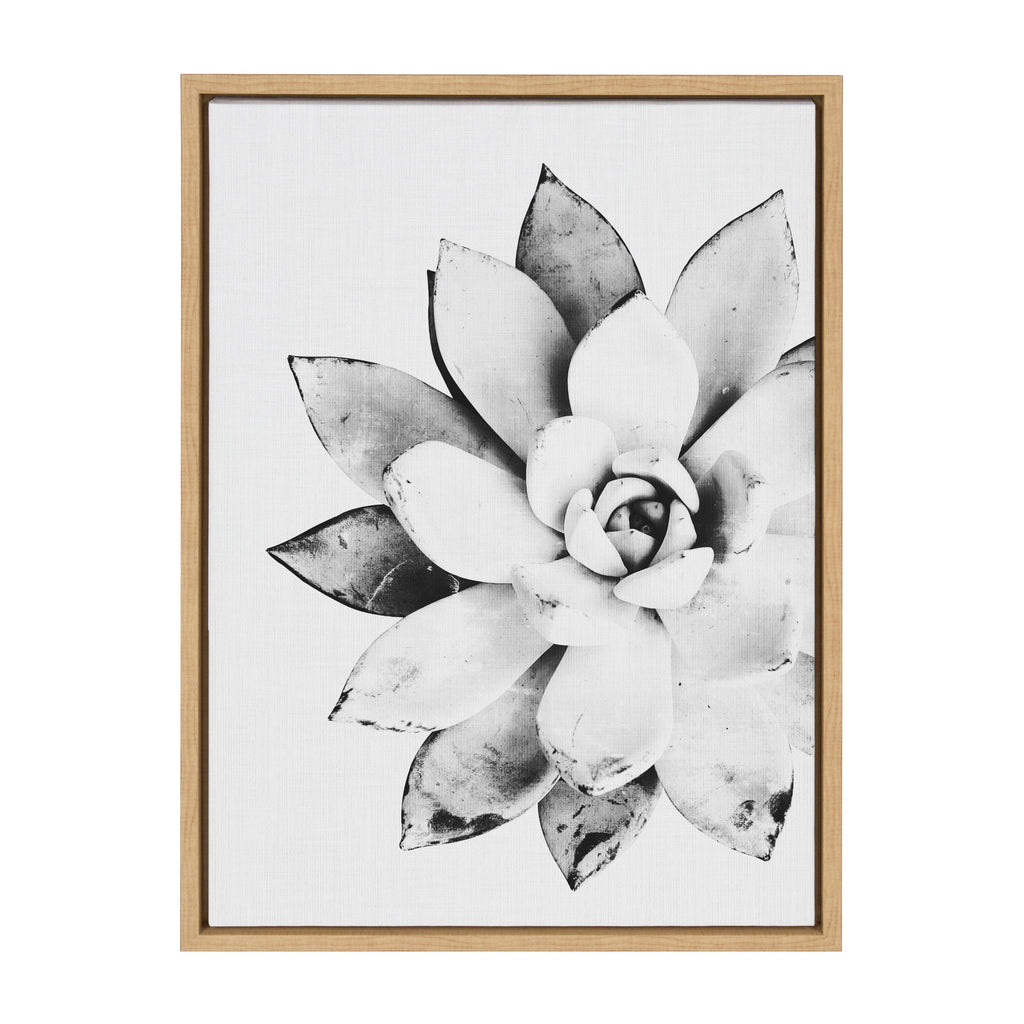 Sylvie Succulent Framed Canvas by Simon Te of Tai Prints