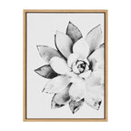 Sylvie Succulent Framed Canvas by Simon Te of Tai Prints