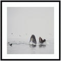 Humpback Whales No. 2 by Laura Evans Framed Wall Art Print
